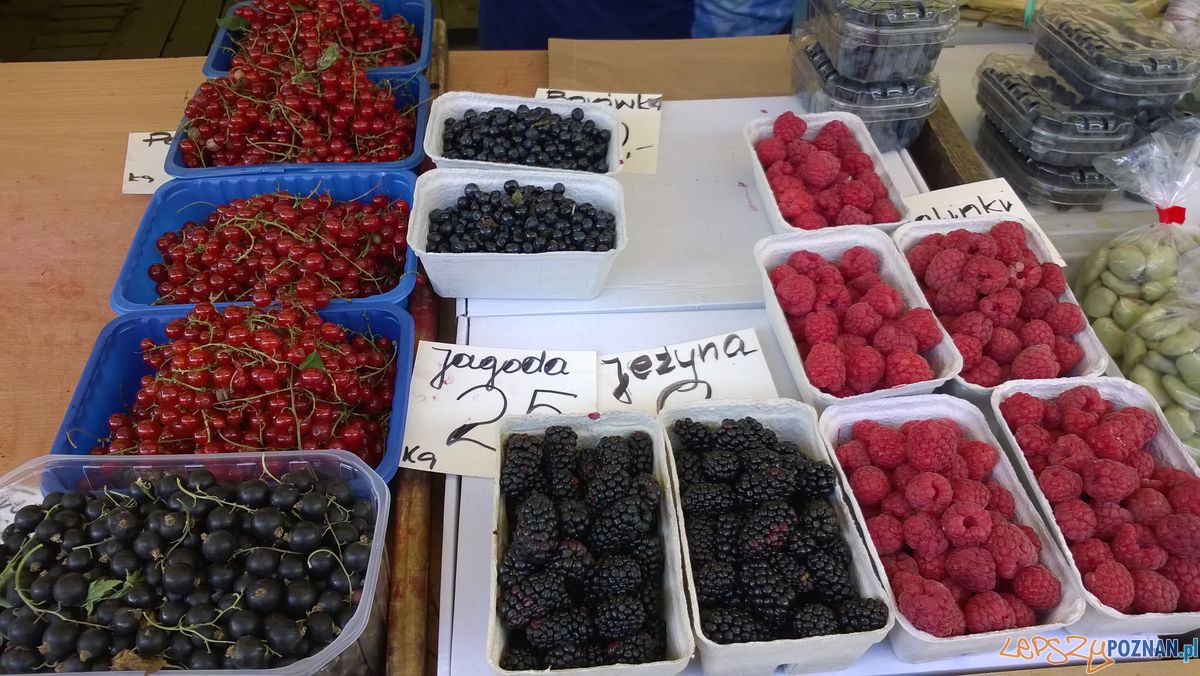 Sobota na Jeżyckim (8) Foto: TD Sobota na Jeżyckim (8) Foto: TD