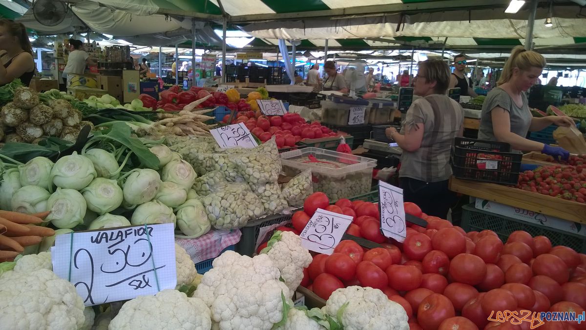 Sobota na Jeżyckim (6) Foto: TD Sobota na Jeżyckim (6) Foto: TD