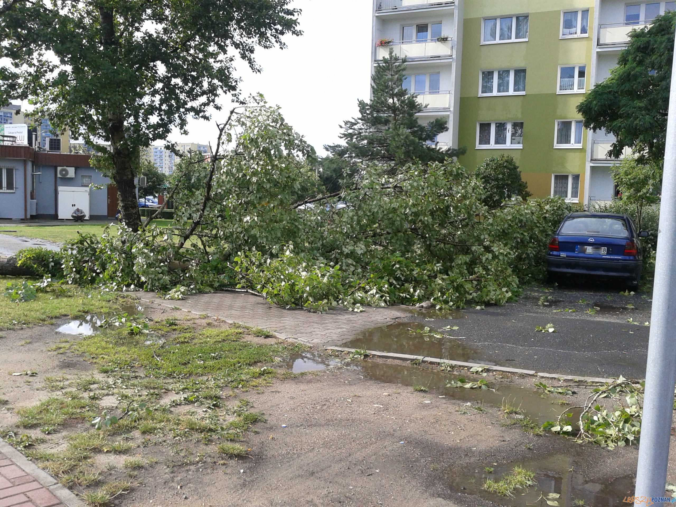 Gwałtowna burza przeszła nad Poznaniem - os. B. Śmialego Foto: Janina Gwałtowna burza przeszła nad Poznaniem - os. B. Śmialego Foto: Janina
