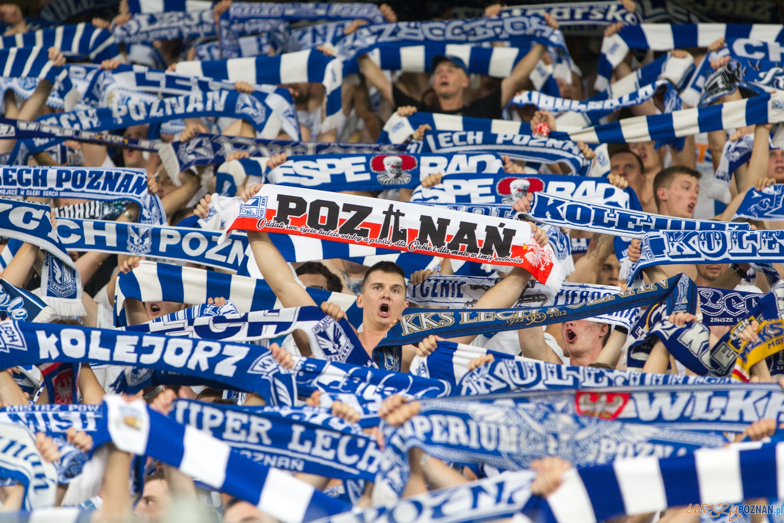 Eliminacje Ligii Mistrzów - Lech Poznań - FK Sarajevo (najleps Foto: lepszyPOZNAN.pl / Piotr Rychter Eliminacje Ligii Mistrzów - Lech Poznań - FK Sarajevo (najleps Foto: lepszyPOZNAN.pl / Piotr Rychter