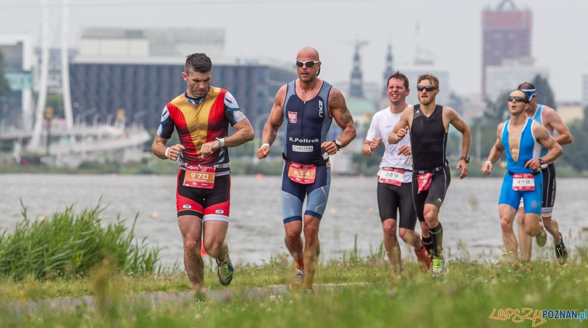Traiathlon nad Maltą - bieg Foto: Paweł Urbaniak/BikeLife.pl Traiathlon nad Maltą - bieg Foto: Paweł Urbaniak/BikeLife.pl