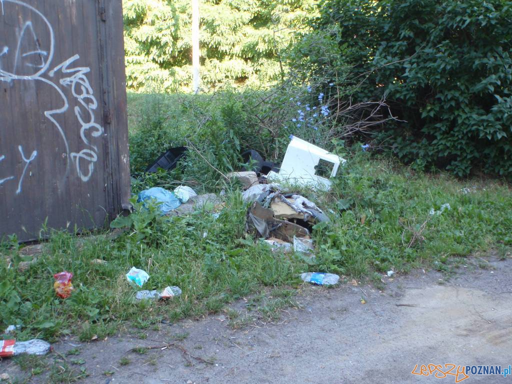 Gemela na Wildzie (3) Foto: Straż Miejska Gemela na Wildzie (3) Foto: Straż Miejska