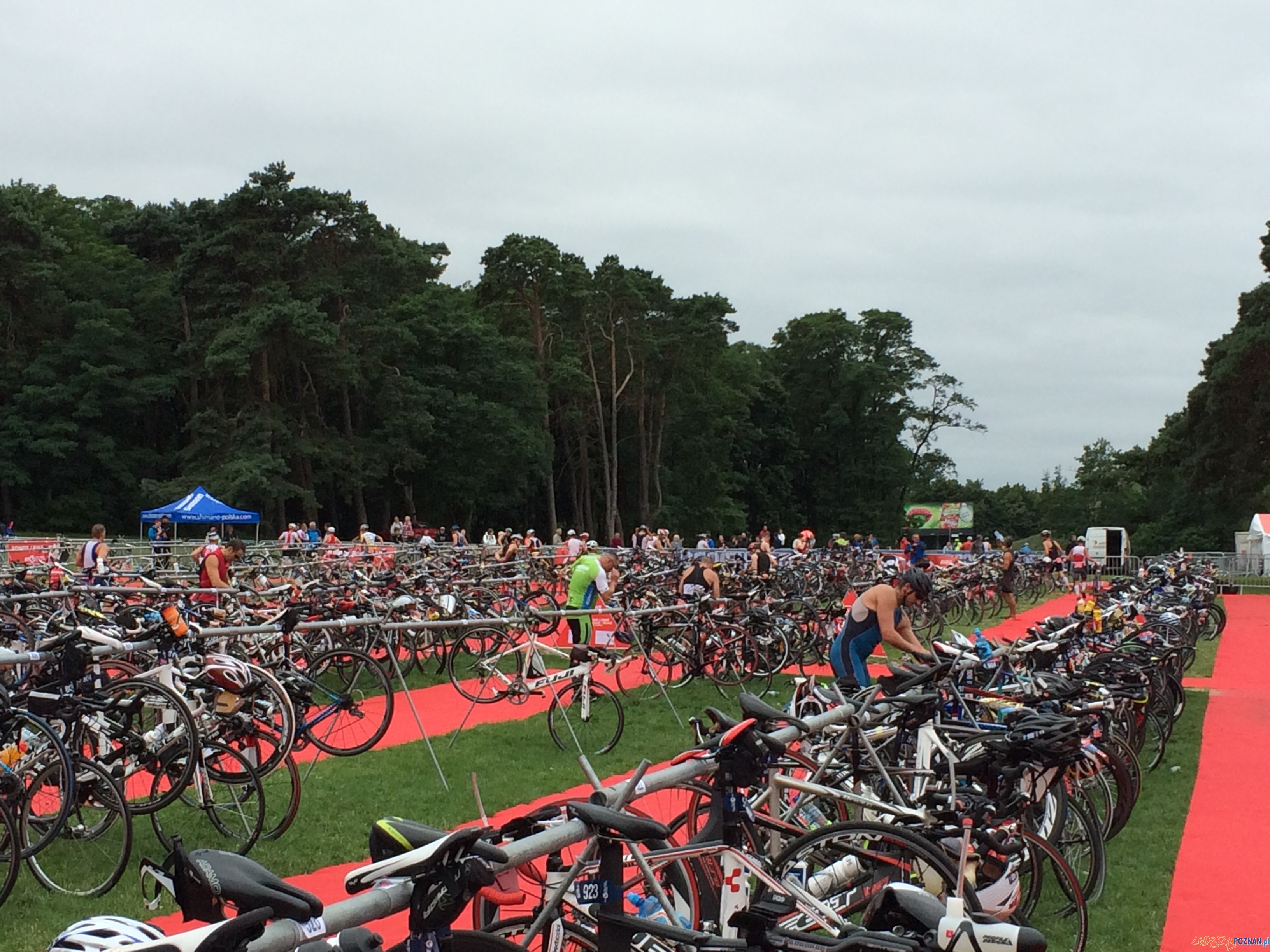 Enea Challenge Poznań Foto: materiały prasowe Enea Challenge Poznań Foto: materiały prasowe