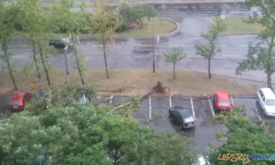 Gwałtowne burze nad Poznaniem Foto: Wojtek Gwałtowne burze nad Poznaniem Foto: Wojtek