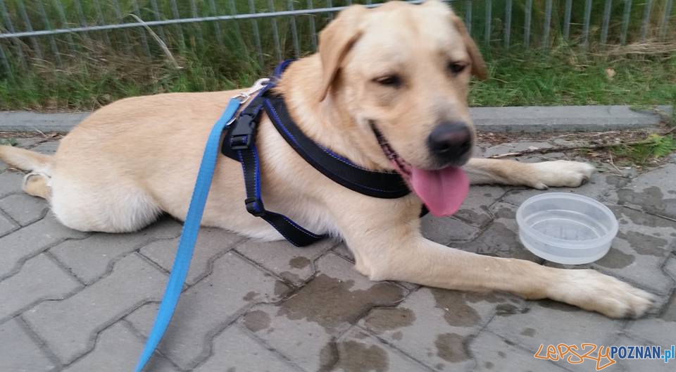 Dakar Foto: Dakar Foto: