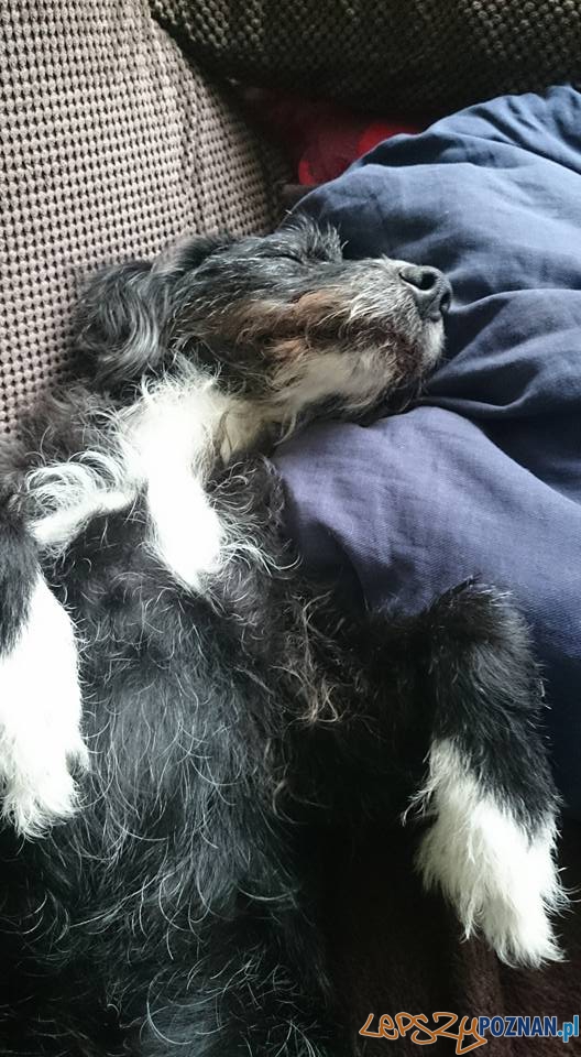 Cent Foto: Cent Foto: