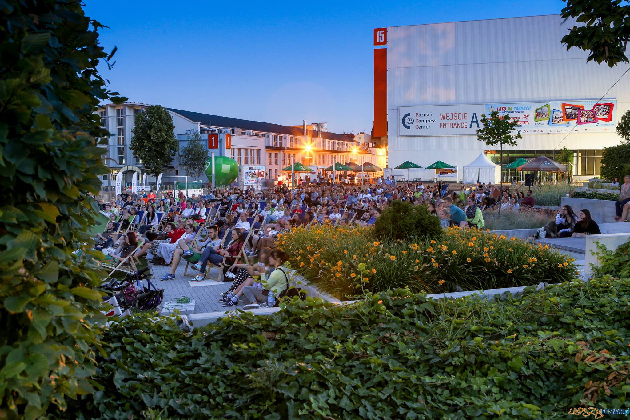 Kino letnie MTP  Foto: MTP