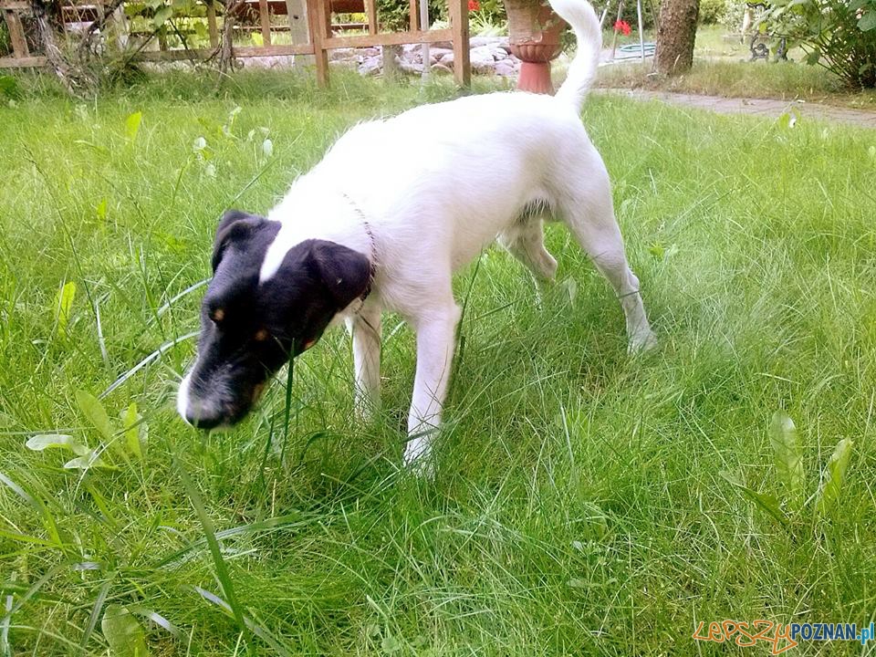 Nico Foto: Nico Foto: