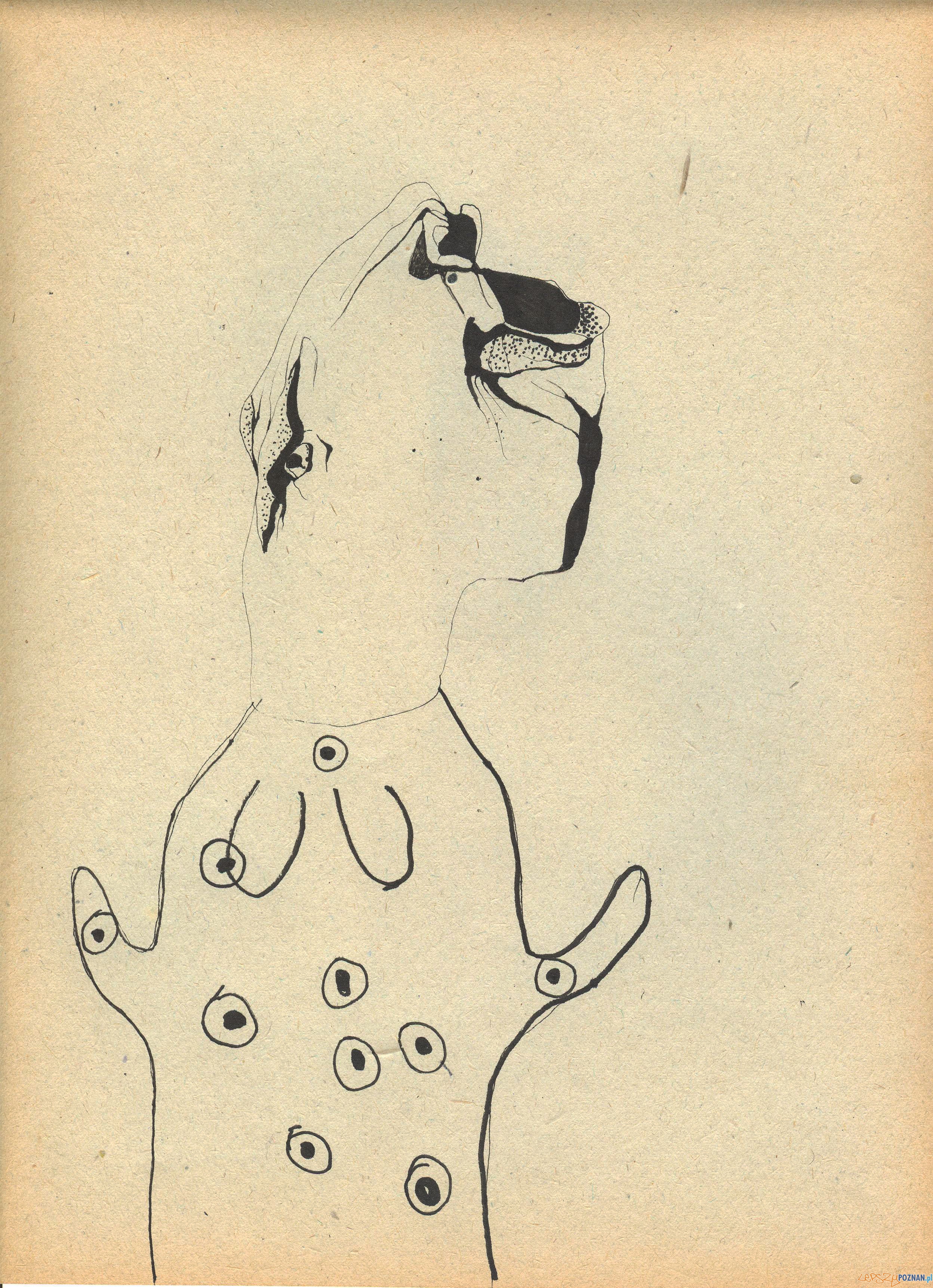 Praca Basi Bańdy (1) Foto: CSW Praca Basi Bańdy (1) Foto: CSW