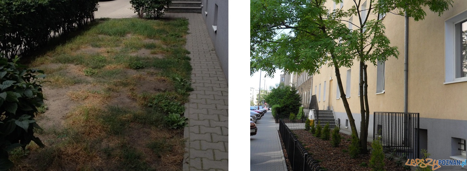 Kossaka Foto: ZKZL Kossaka Foto: ZKZL