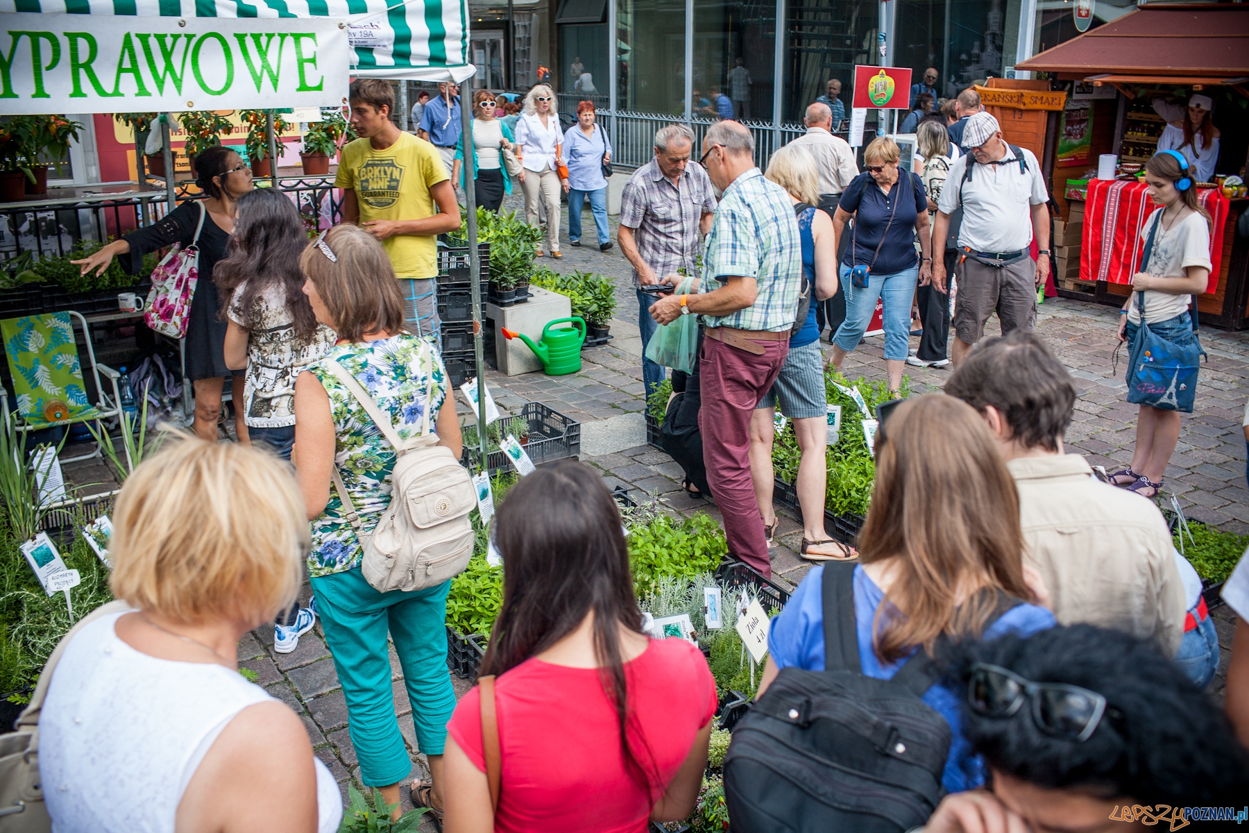 Ogólnopolski Festiwal Dobrego Smaku (17) Foto: Julian Redondo Bueno / OFDS Ogólnopolski Festiwal Dobrego Smaku (17) Foto: Julian Redondo Bueno / OFDS