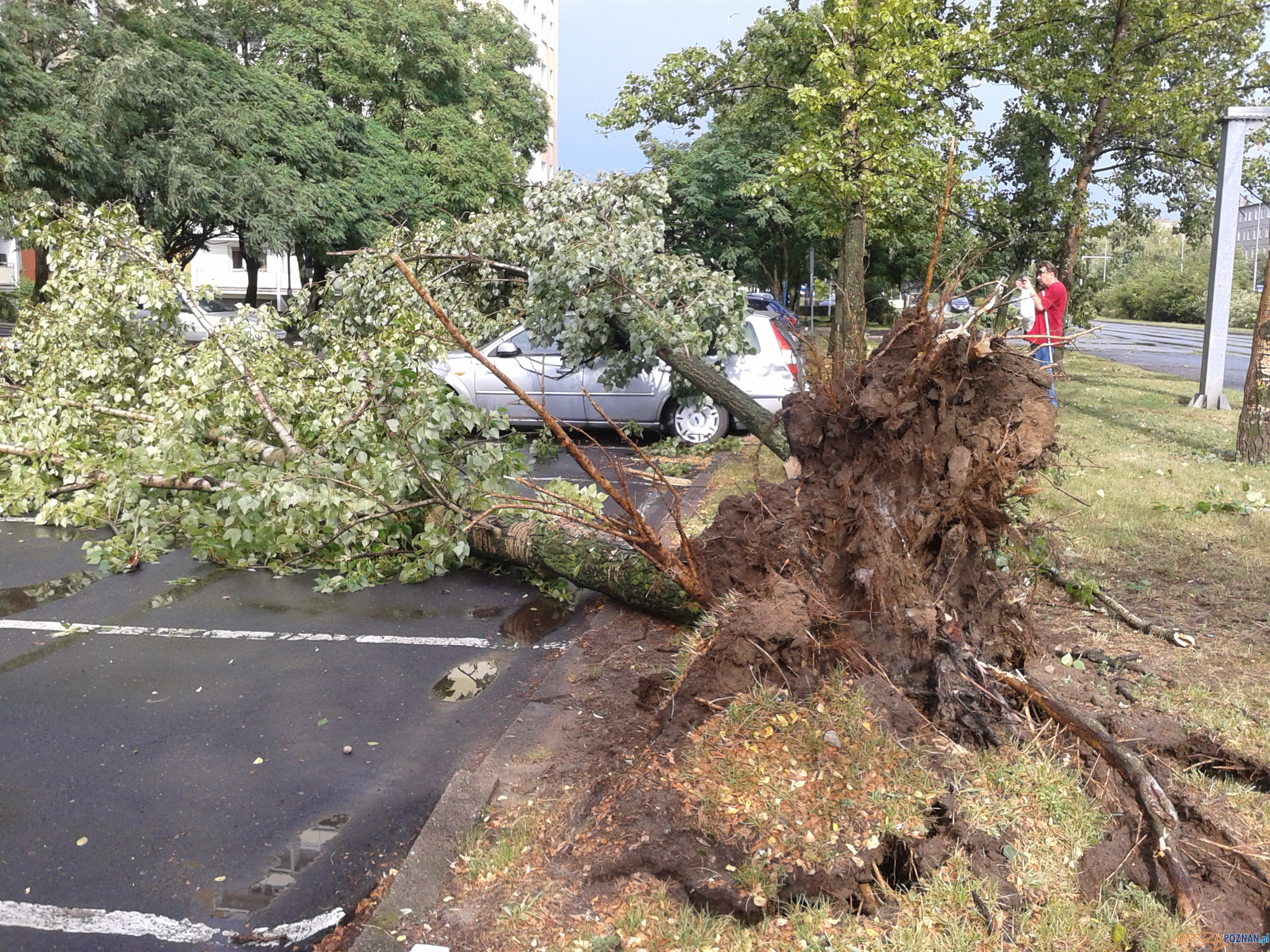 Gwałtowna burza przeszła nad Poznaniem - os. B. Śmialego Foto: Janina Gwałtowna burza przeszła nad Poznaniem - os. B. Śmialego Foto: Janina