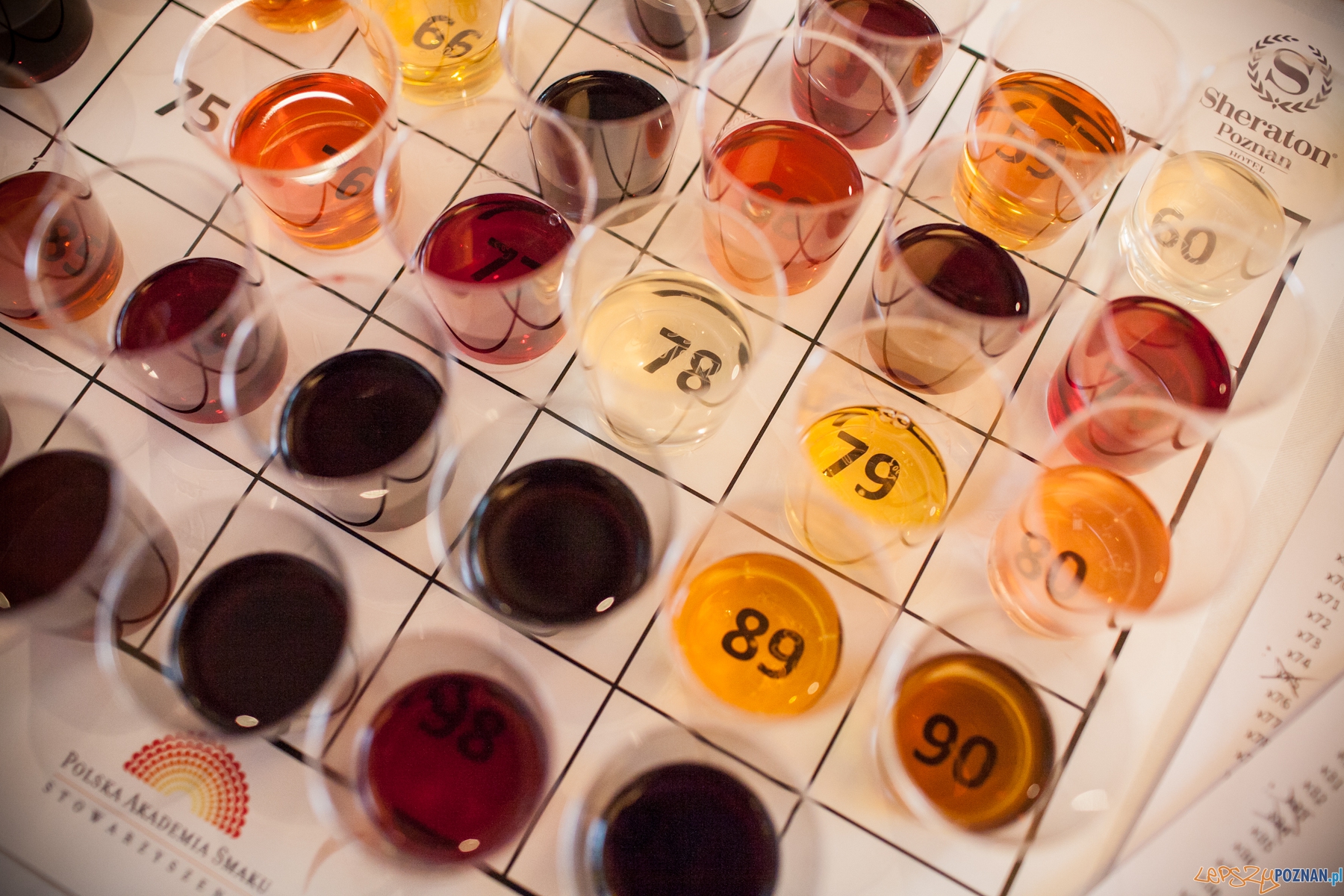 Ogólnopolski Festiwal Dobrego Smaku (8) Foto: Julian Redondo Bueno / OFDS Ogólnopolski Festiwal Dobrego Smaku (8) Foto: Julian Redondo Bueno / OFDS