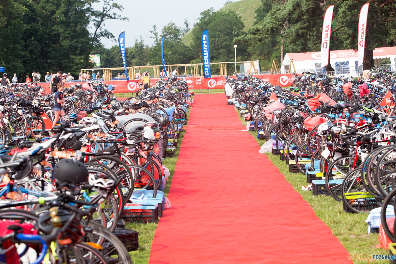 Enea Challenge Poznań Foto: lepszyPOZNAN.pl / Piotr Rychter Enea Challenge Poznań Foto: lepszyPOZNAN.pl / Piotr Rychter