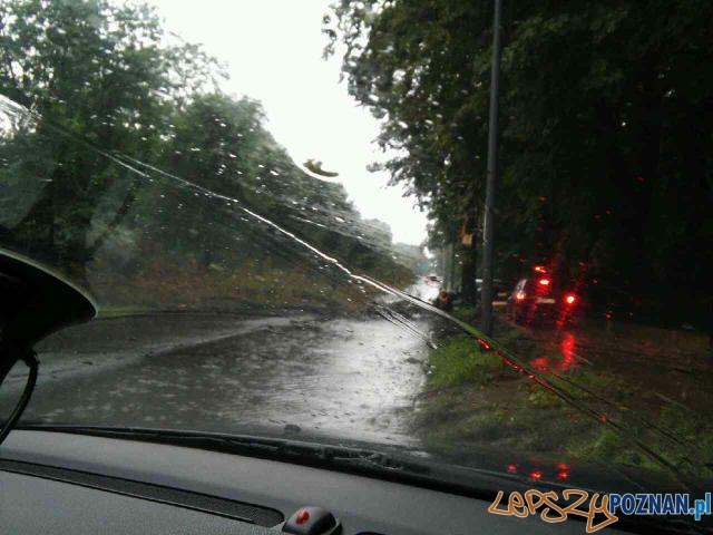 Gwałtowna burza przeszła nad Poznaniem - przy Cytadeli Foto: Przemysław Gwałtowna burza przeszła nad Poznaniem - przy Cytadeli Foto: Przemysław