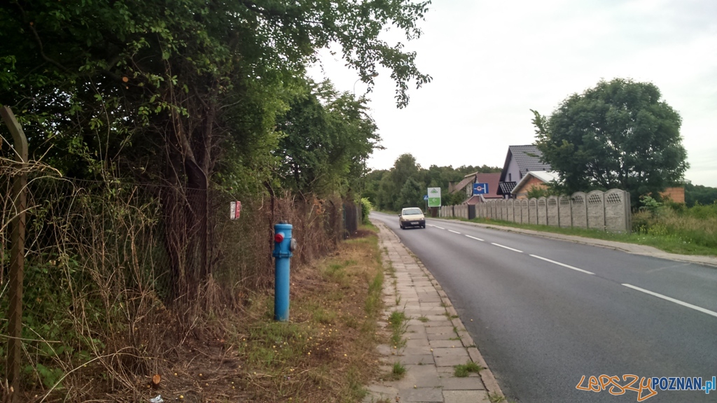 Po wycięciu krzaków Foto: Straż Miejska Po wycięciu krzaków Foto: Straż Miejska