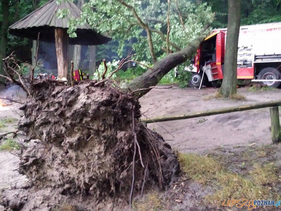 Uwalnianie wozu strażackiego Foto: Heavy Rescue SGRT OSP Mosina Uwalnianie wozu strażackiego Foto: Heavy Rescue SGRT OSP Mosina