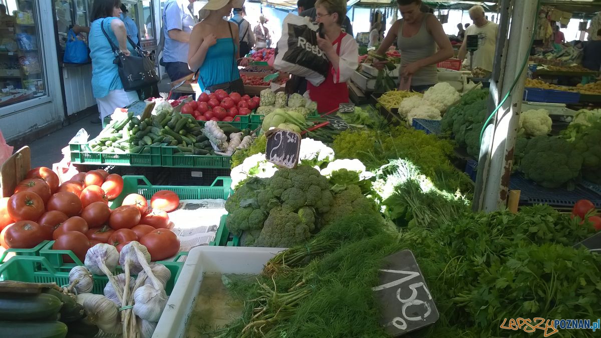 Sobota na Jeżyckim (9) Foto: TD Sobota na Jeżyckim (9) Foto: TD