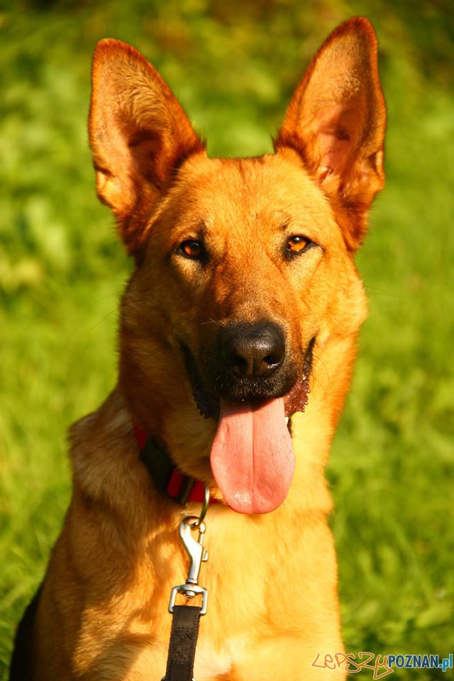 Moyra Foto: Moyra Foto: