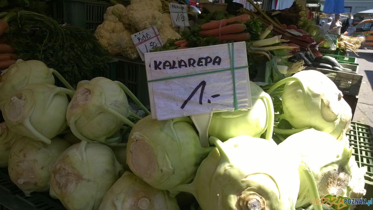 Sobota na Jeżyckim (1) Foto: TD Sobota na Jeżyckim (1) Foto: TD