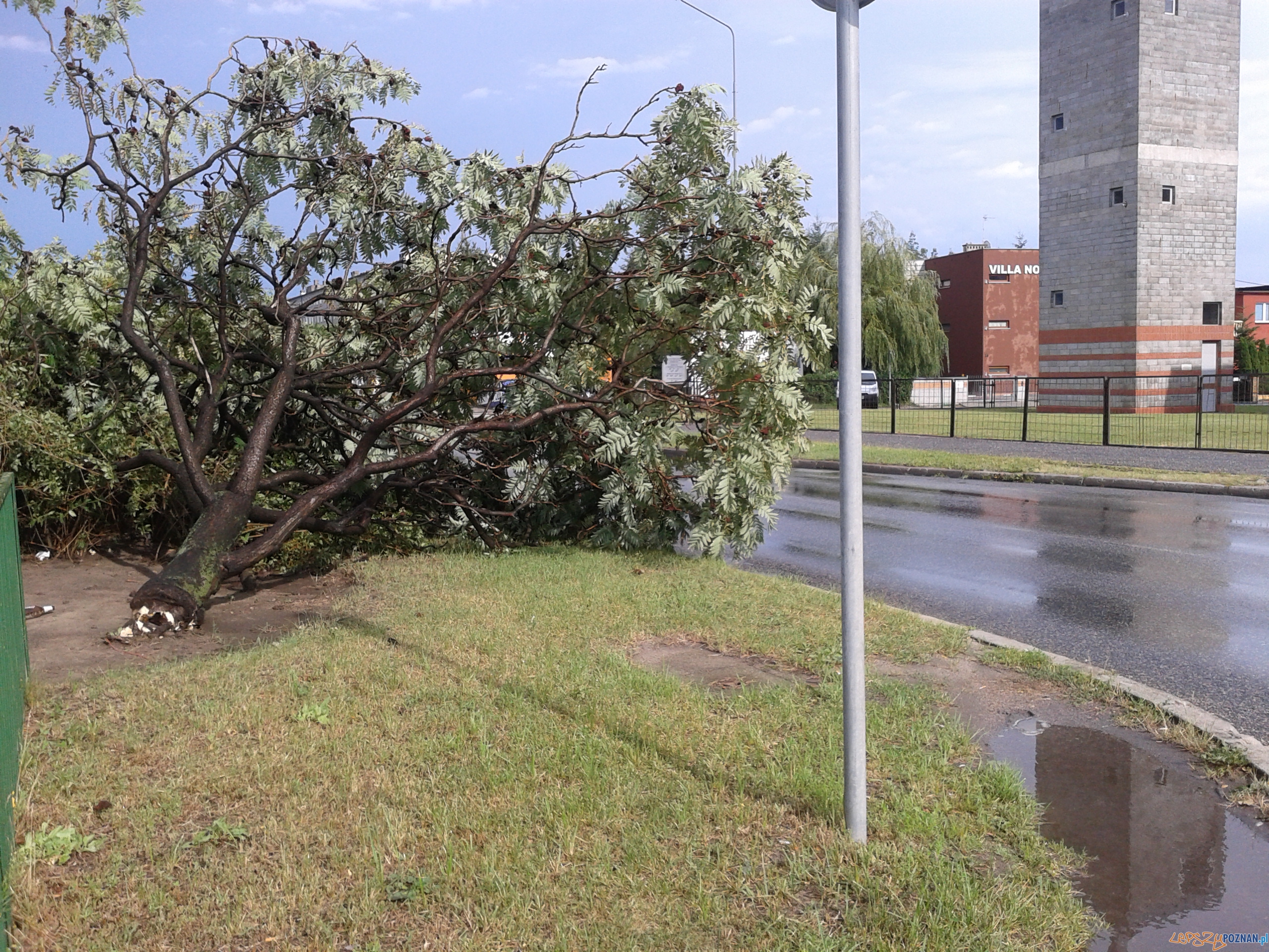 Gwałtowna burza przeszła nad Poznaniem - os. B. Śmialego Foto: Janina Gwałtowna burza przeszła nad Poznaniem - os. B. Śmialego Foto: Janina