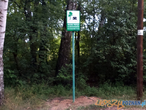 Miejsca postojowe na ul. Koszalińskiej Foto: Straż Miejska w Poznaniu Miejsca postojowe na ul. Koszalińskiej Foto: Straż Miejska w Poznaniu