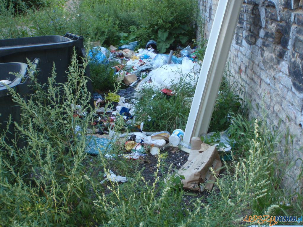 Gemela na Wildzie (2) Foto: Straż Miejska Gemela na Wildzie (2) Foto: Straż Miejska