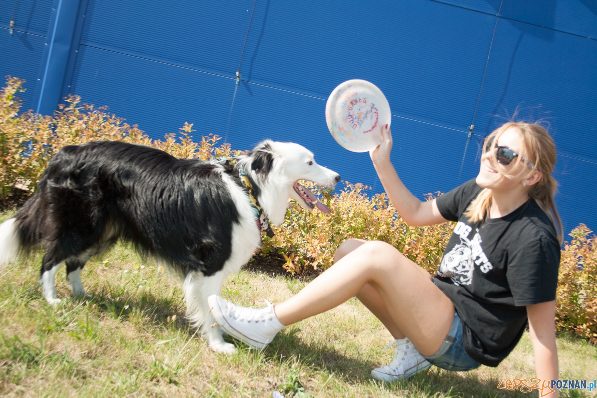 Pierwszy parking dla psów w Poznaniu (21.08.2015) Franowo Foto: © Karolina Kiraga Pierwszy parking dla psów w Poznaniu (21.08.2015) Franowo Foto: © Karolina Kiraga