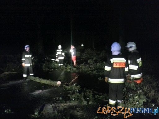 Zniszczenia w Kostrzynie Foto: OSP Kostrzyn Zniszczenia w Kostrzynie Foto: OSP Kostrzyn