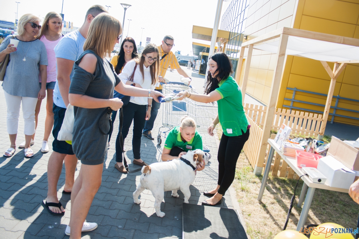 Pierwszy parking dla psów w Poznaniu (21.08.2015) Franowo Foto: © Karolina Kiraga Pierwszy parking dla psów w Poznaniu (21.08.2015) Franowo Foto: © Karolina Kiraga