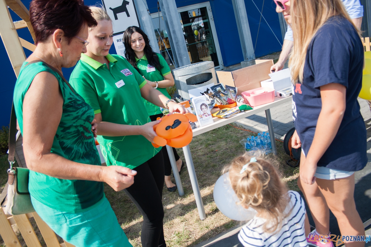 Pierwszy parking dla psów w Poznaniu (21.08.2015) Franowo Foto: © Karolina Kiraga Pierwszy parking dla psów w Poznaniu (21.08.2015) Franowo Foto: © Karolina Kiraga