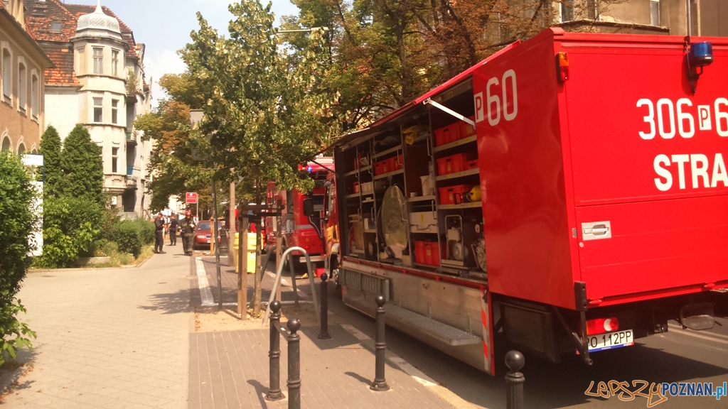 Straż  zabezpieczyła podejrzane substancje chemiczne  Foto: Straż Miejska