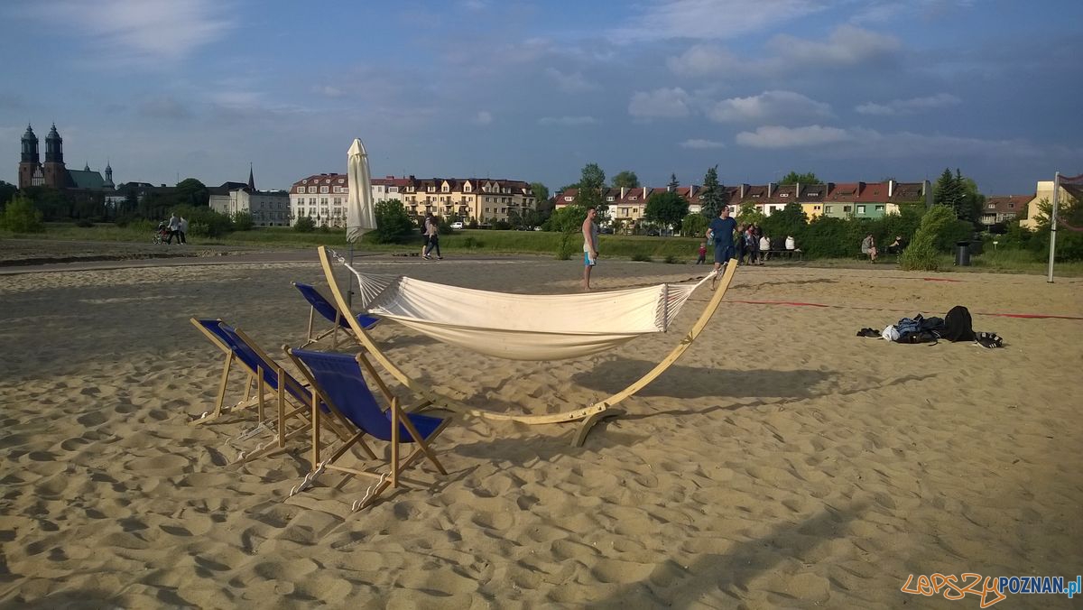 Plaża nad Wartą Foto: TD Plaża nad Wartą Foto: TD
