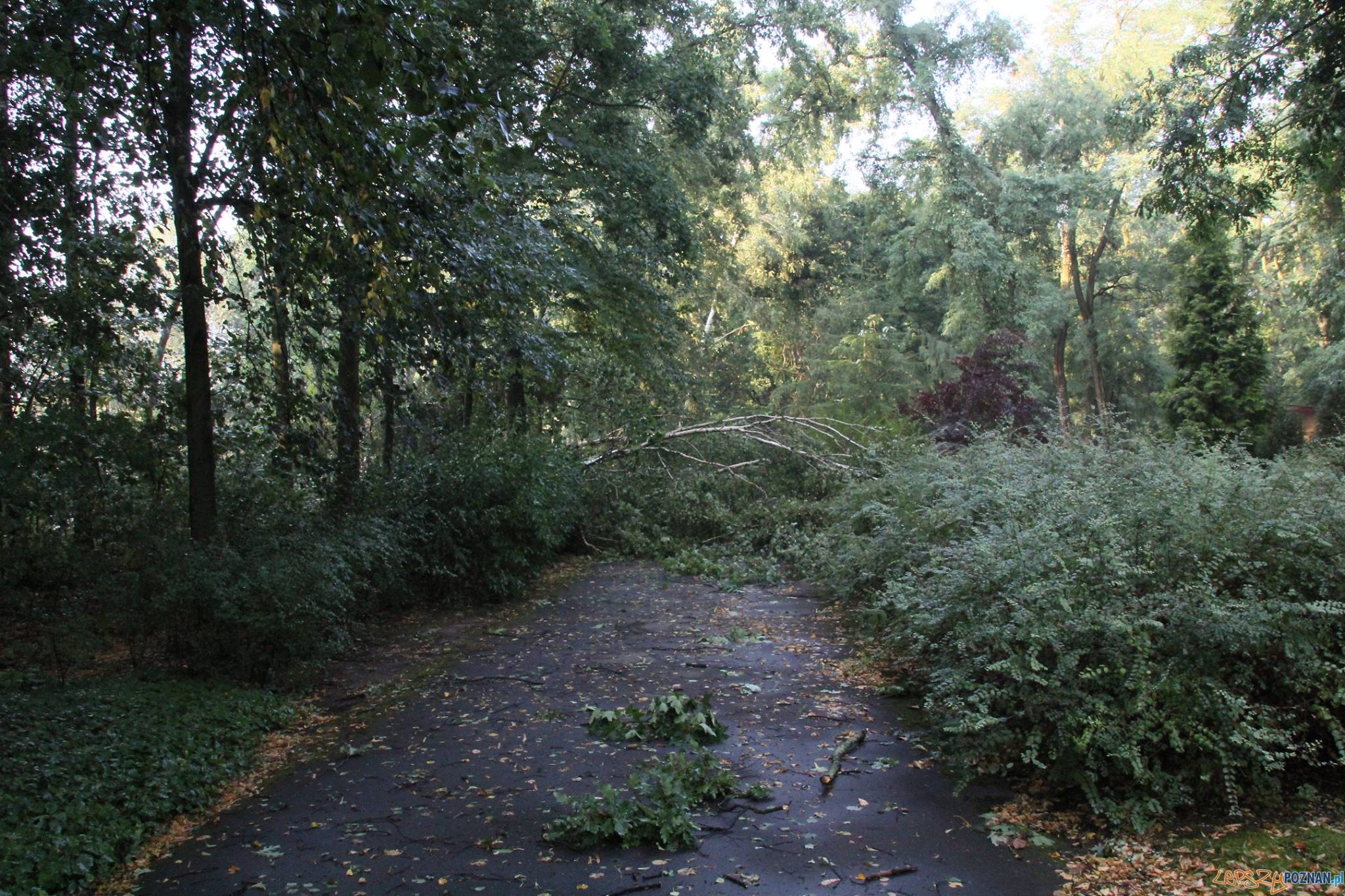 ZOO - po burzy Foto: Nowe ZOO ZOO - po burzy Foto: Nowe ZOO