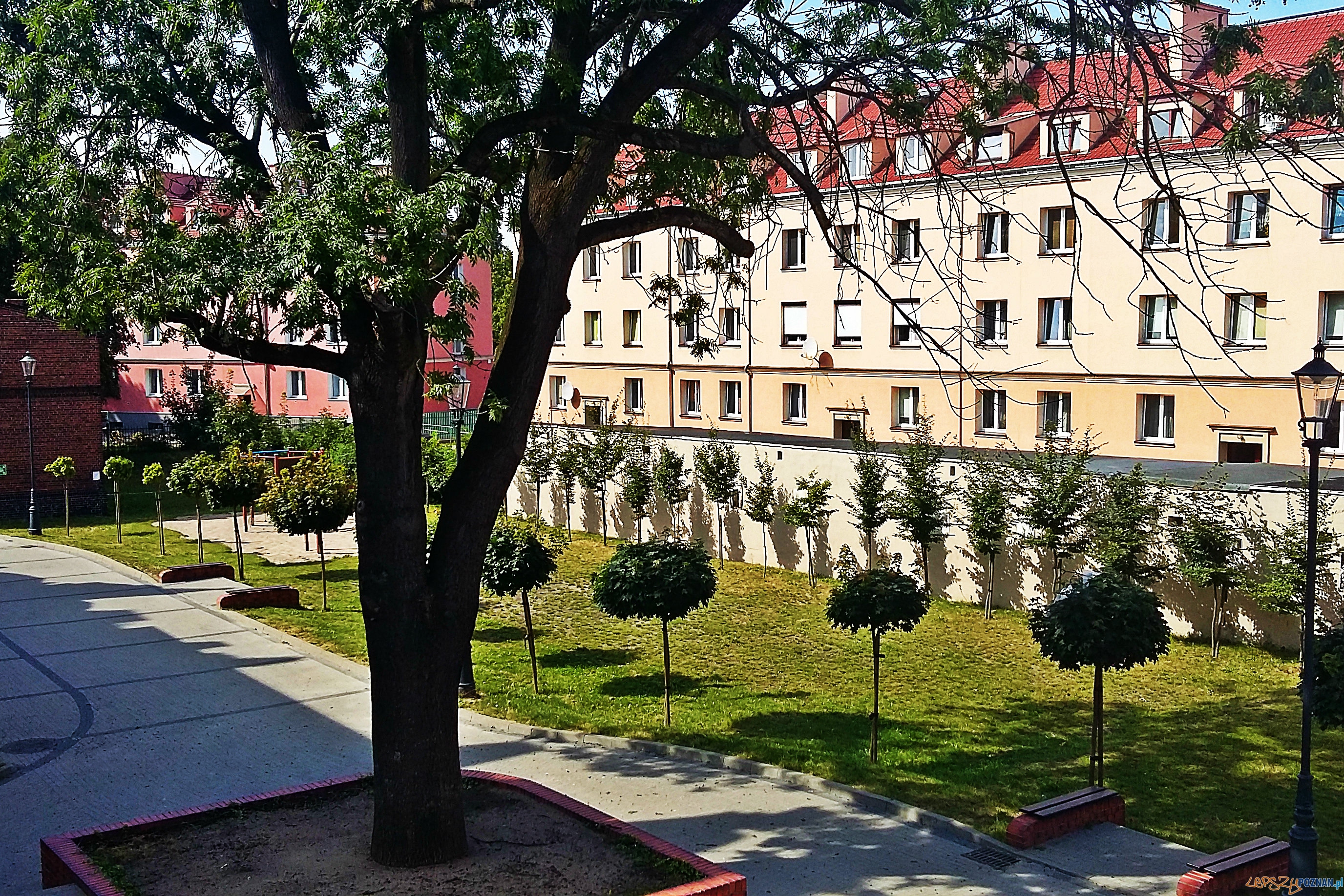 20150822_144347abc Foto: lepszyPOZNAN.pl / gsm 20150822_144347abc Foto: lepszyPOZNAN.pl / gsm