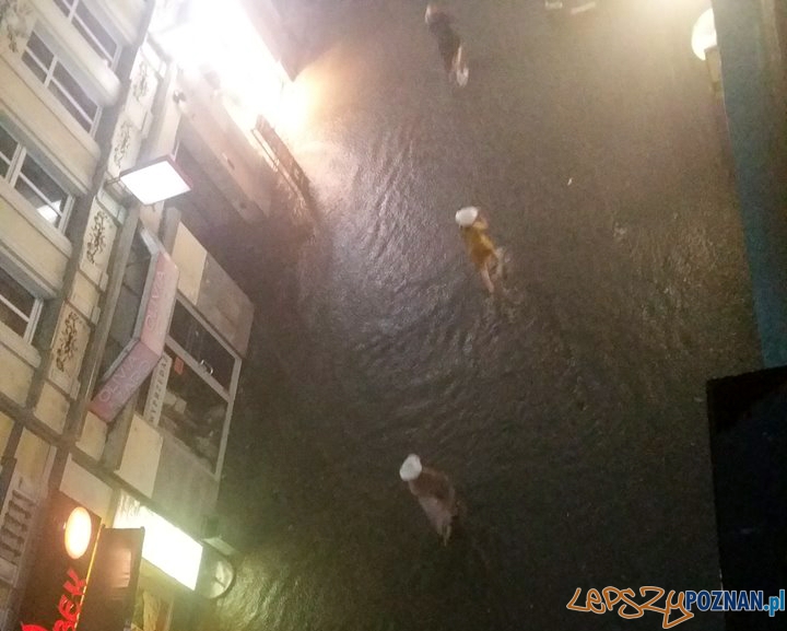 Utrudnienia po nawałnicy - ul. Półwiejska Foto: Tomasz Thorn Utrudnienia po nawałnicy - ul. Półwiejska Foto: Tomasz Thorn