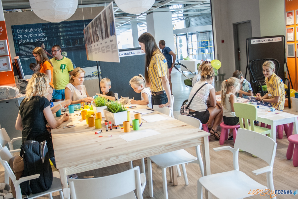 Pierwszy parking dla psów w Poznaniu (21.08.2015) Franowo Foto: © Karolina Kiraga Pierwszy parking dla psów w Poznaniu (21.08.2015) Franowo Foto: © Karolina Kiraga