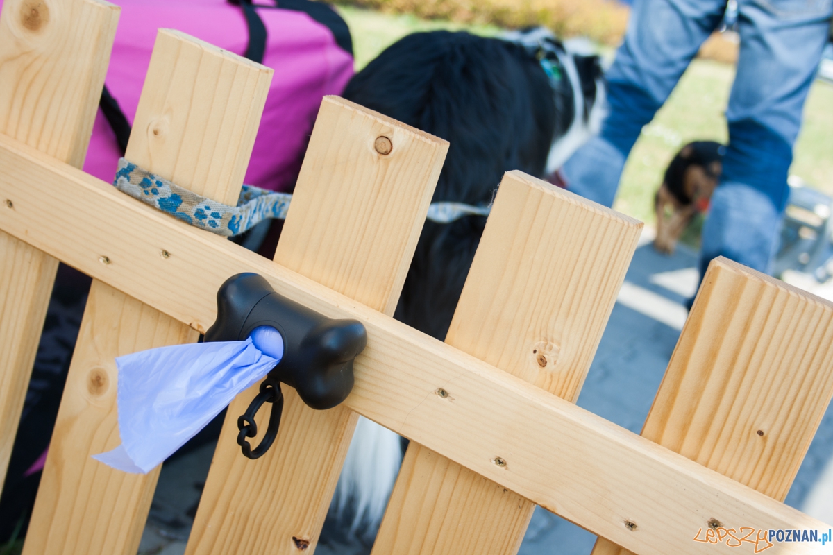 Pierwszy parking dla psów w Poznaniu (21.08.2015) Franowo Foto: © Karolina Kiraga Pierwszy parking dla psów w Poznaniu (21.08.2015) Franowo Foto: © Karolina Kiraga