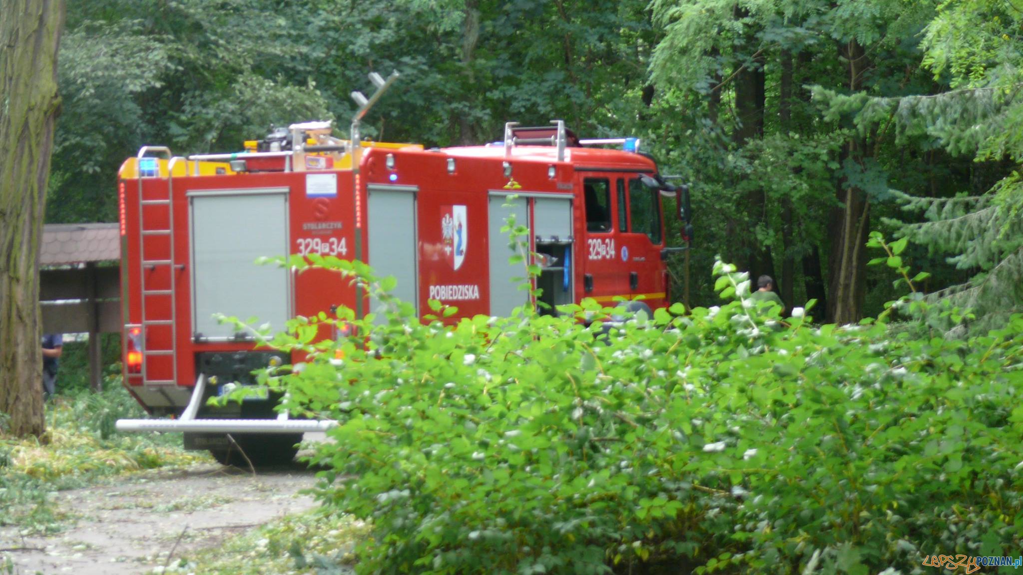 ZOO - usuwanie skutków nawałnicy (1) Foto: facebook ZOO - usuwanie skutków nawałnicy (1) Foto: facebook