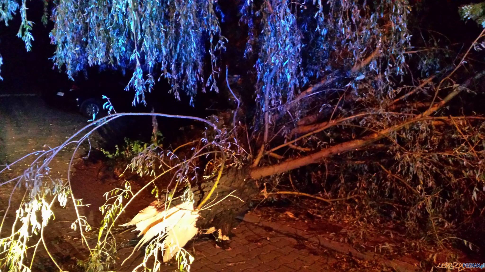 Zniszczenia w Puszczykowie Foto: OSP Puszczykowo Zniszczenia w Puszczykowie Foto: OSP Puszczykowo