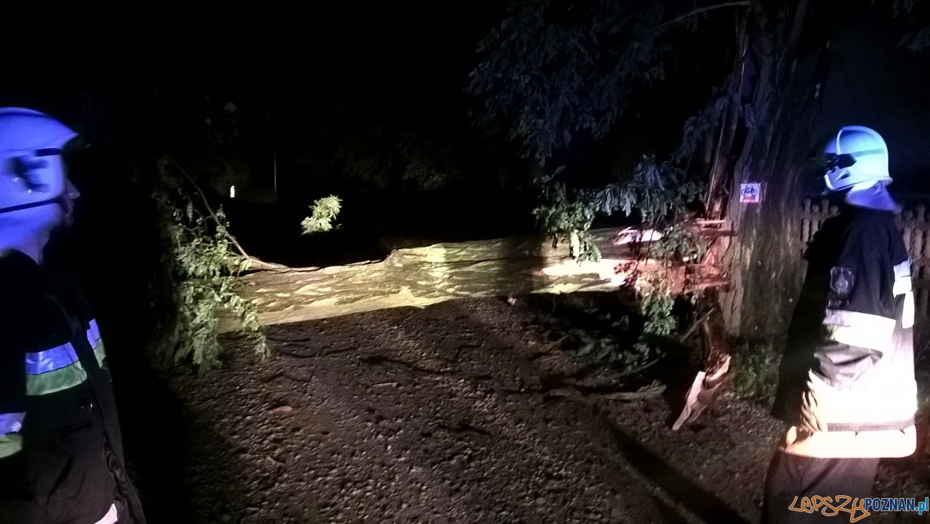 Usuwanie powalonych drzew Foto: OSP w Kostrzynie Usuwanie powalonych drzew Foto: OSP w Kostrzynie