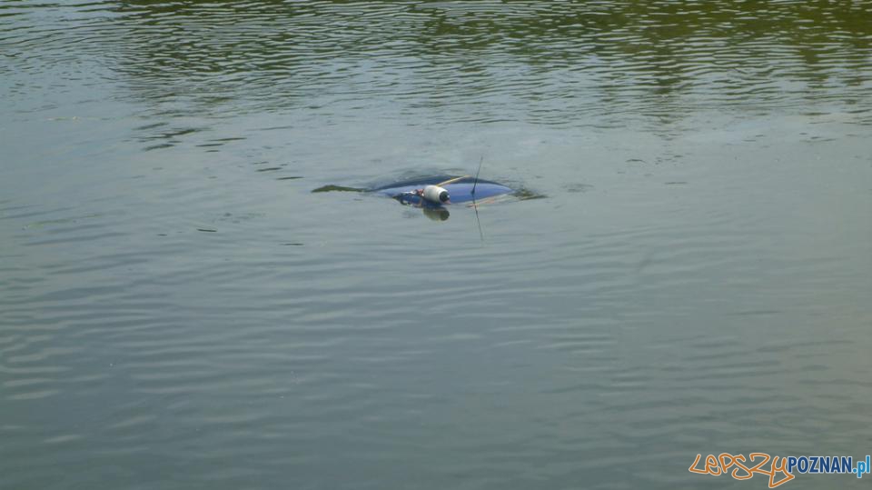 Samochód w rzece Foto: PSP w Poznaniu Samochód w rzece Foto: PSP w Poznaniu