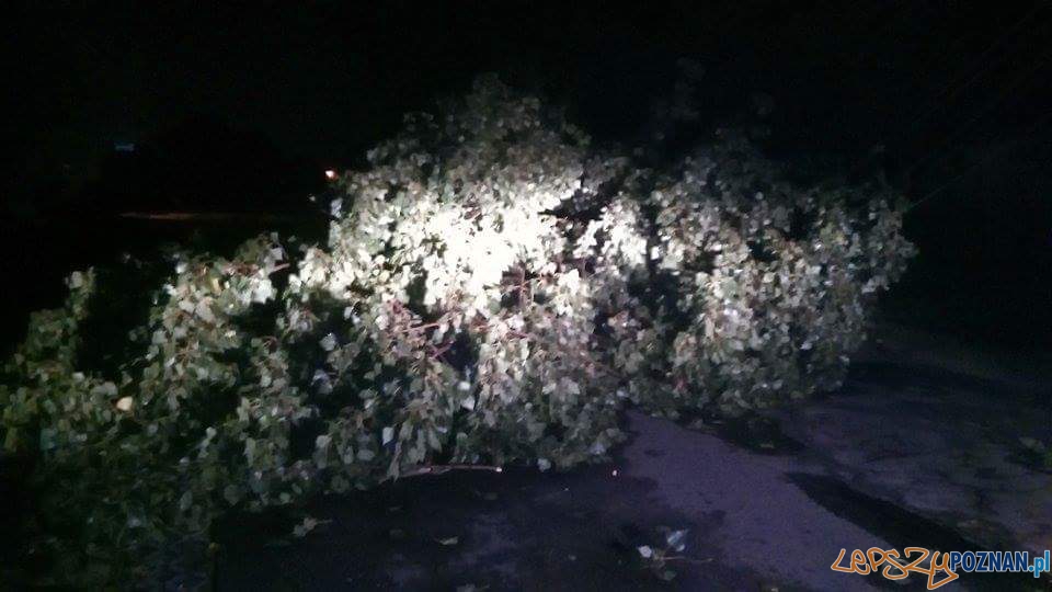 Zniszczenia w Luboniu Foto: OSP Luboń Zniszczenia w Luboniu Foto: OSP Luboń