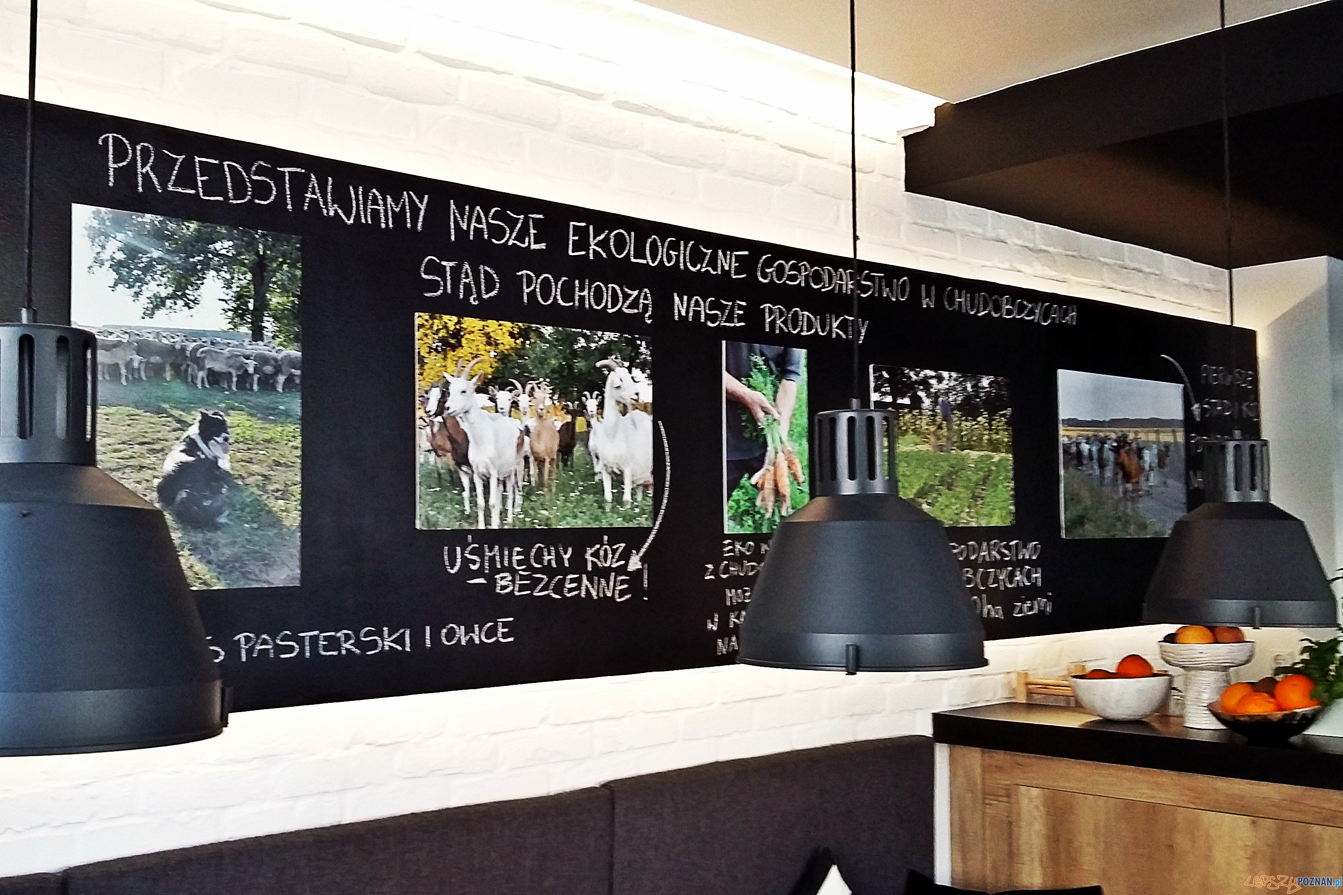 Wspólny Stół Foto: lepszyPOZNAN.pl / gsm Wspólny Stół Foto: lepszyPOZNAN.pl / gsm