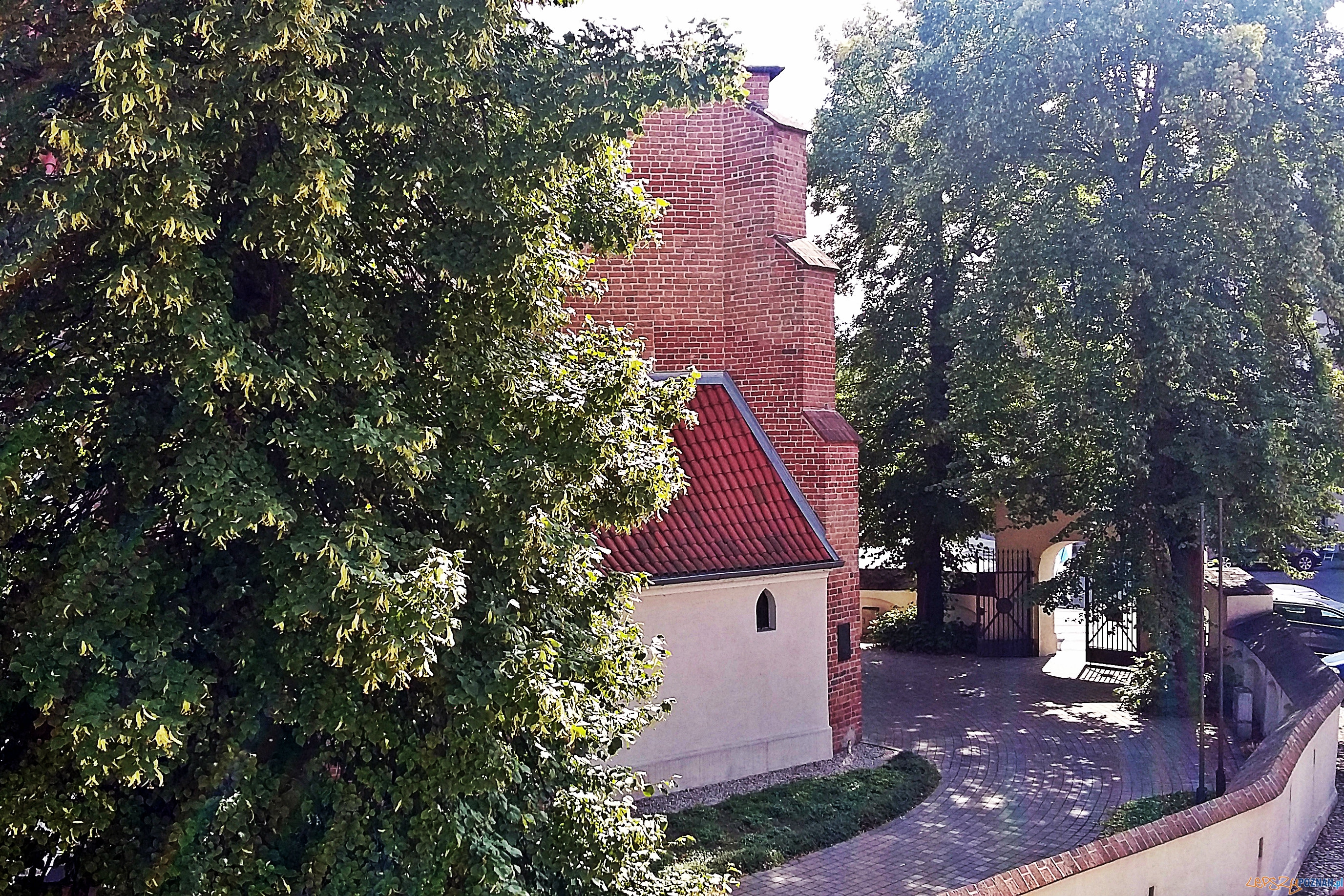 20150822_144432abc Foto: lepszyPOZNAN.pl / gsm 20150822_144432abc Foto: lepszyPOZNAN.pl / gsm