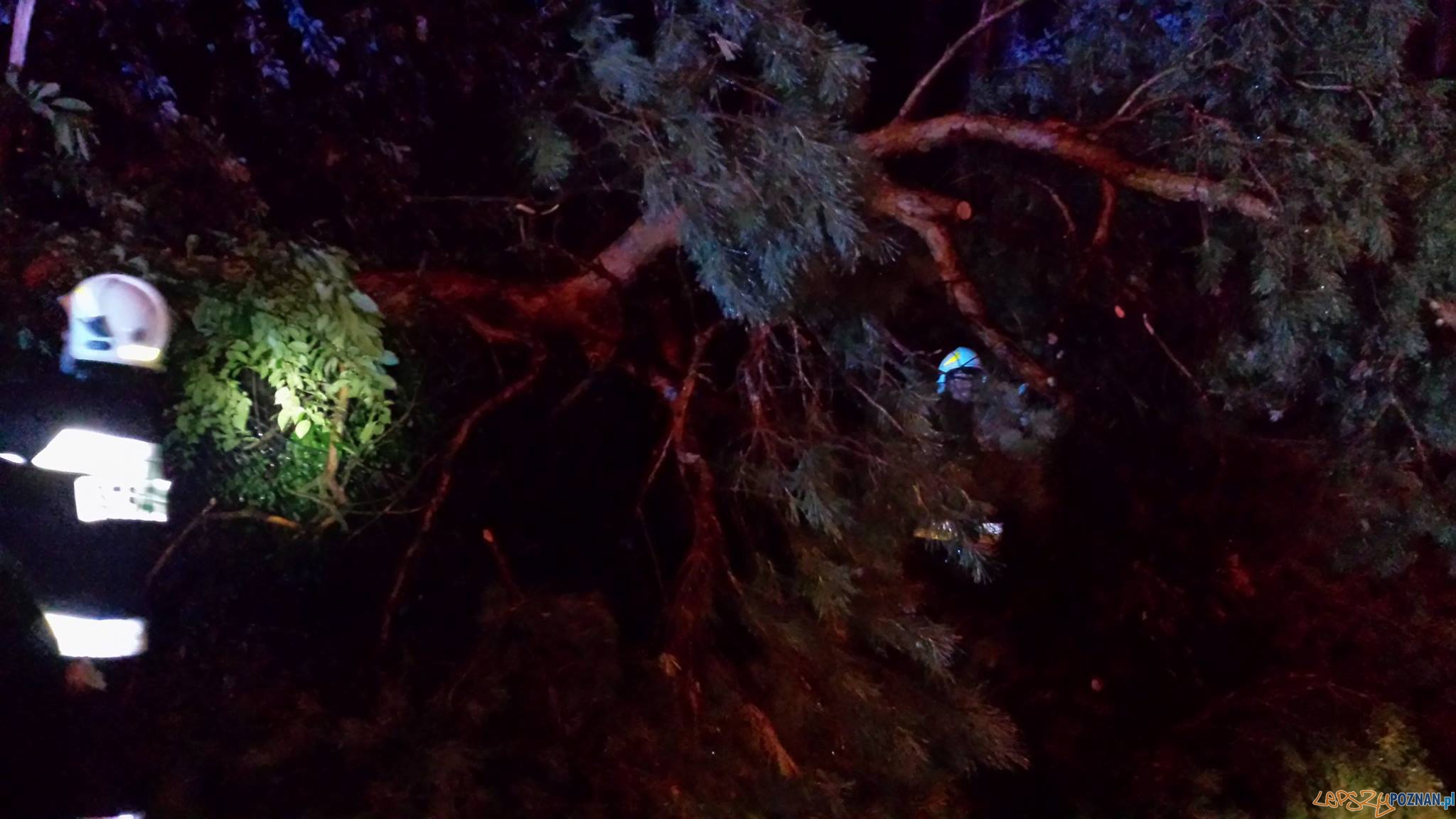 Zniszczenia w Puszczykowie Foto: OSP Puszczykowo Zniszczenia w Puszczykowie Foto: OSP Puszczykowo