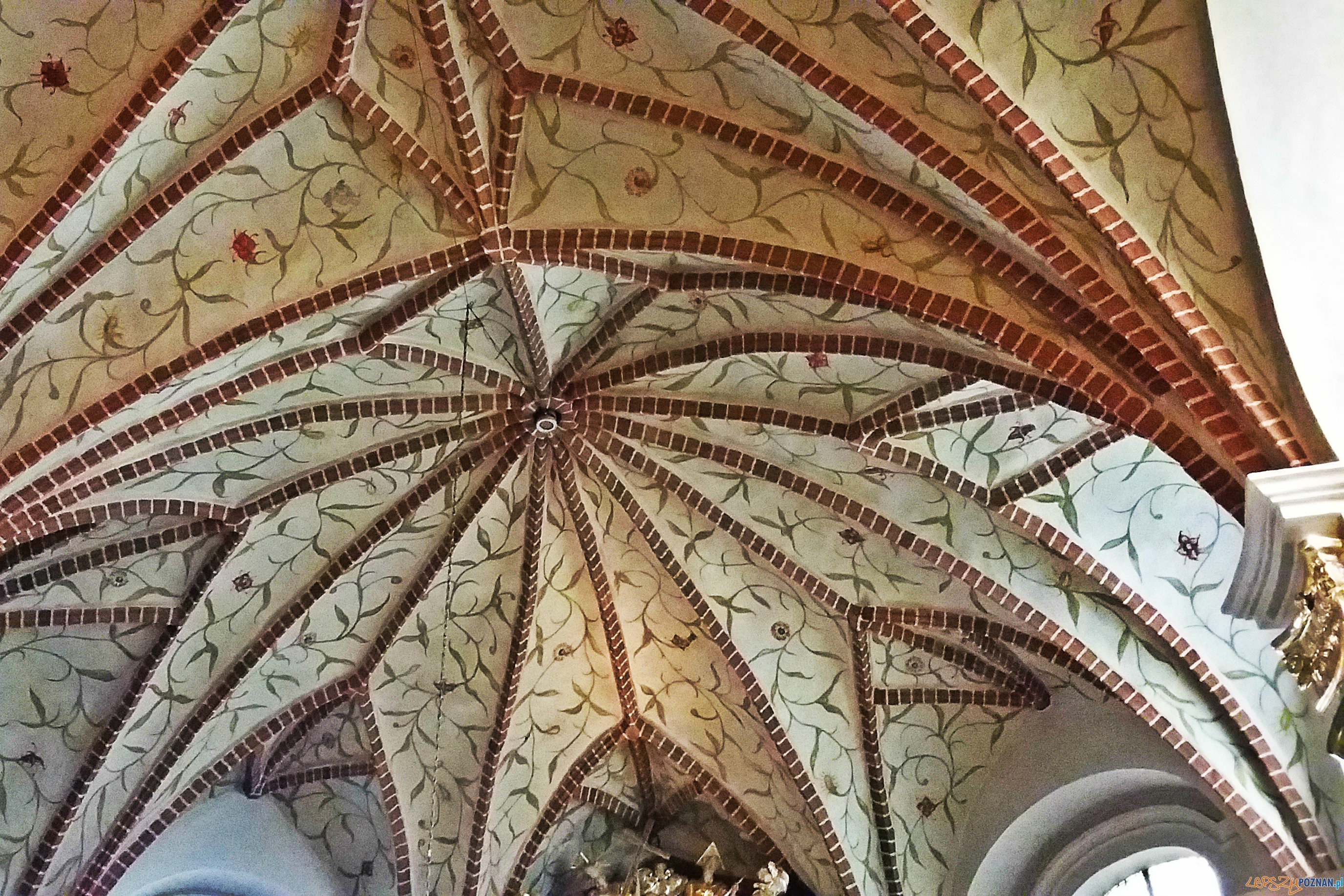 20150822_151709abc Foto: lepszyPOZNAN.pl / gsm 20150822_151709abc Foto: lepszyPOZNAN.pl / gsm