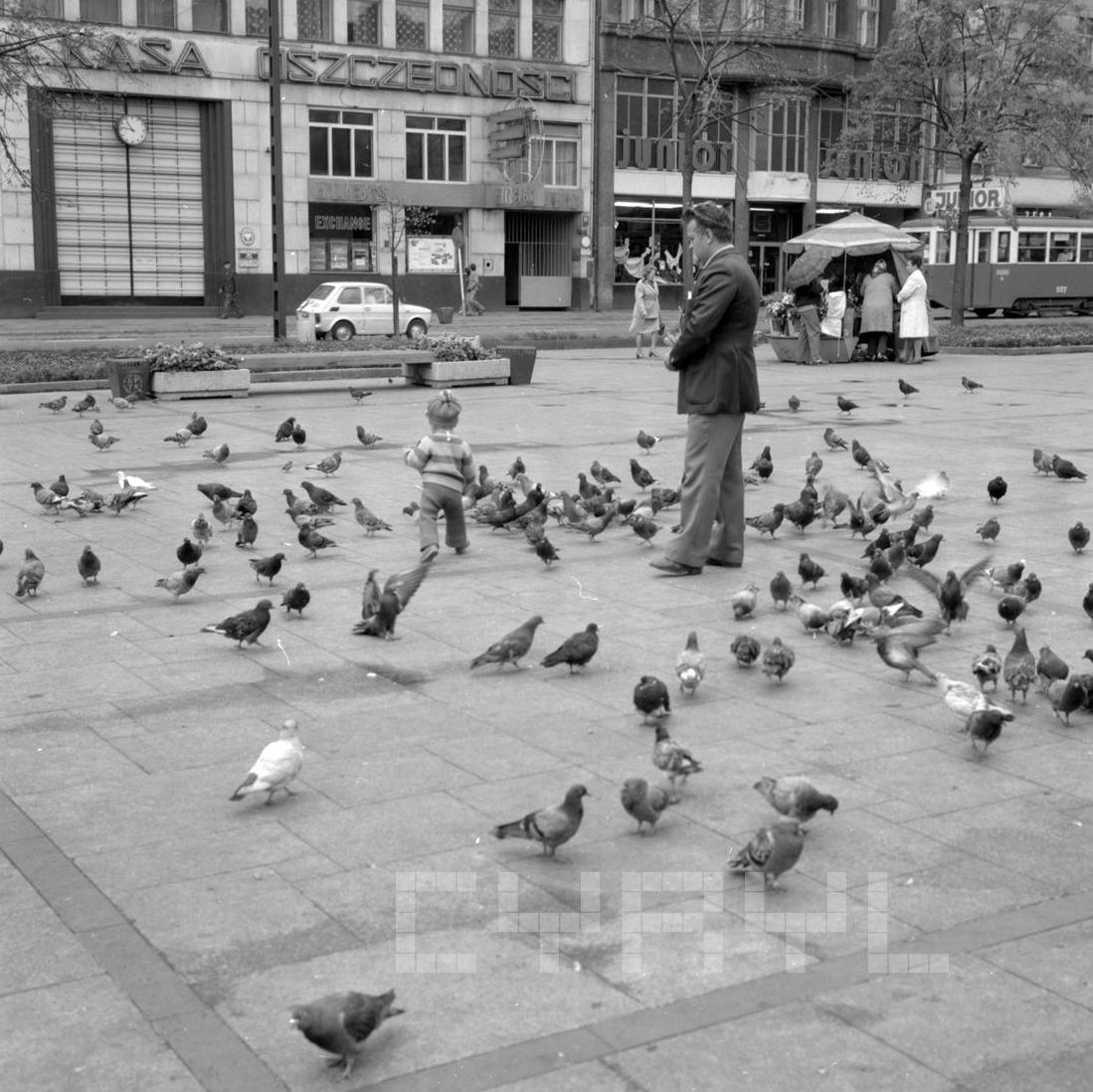 Gołębie na Placu Wolności - 27.08.1978 Foto: Stanisław Wiktor / Cyryl Gołębie na Placu Wolności - 27.08.1978 Foto: Stanisław Wiktor / Cyryl