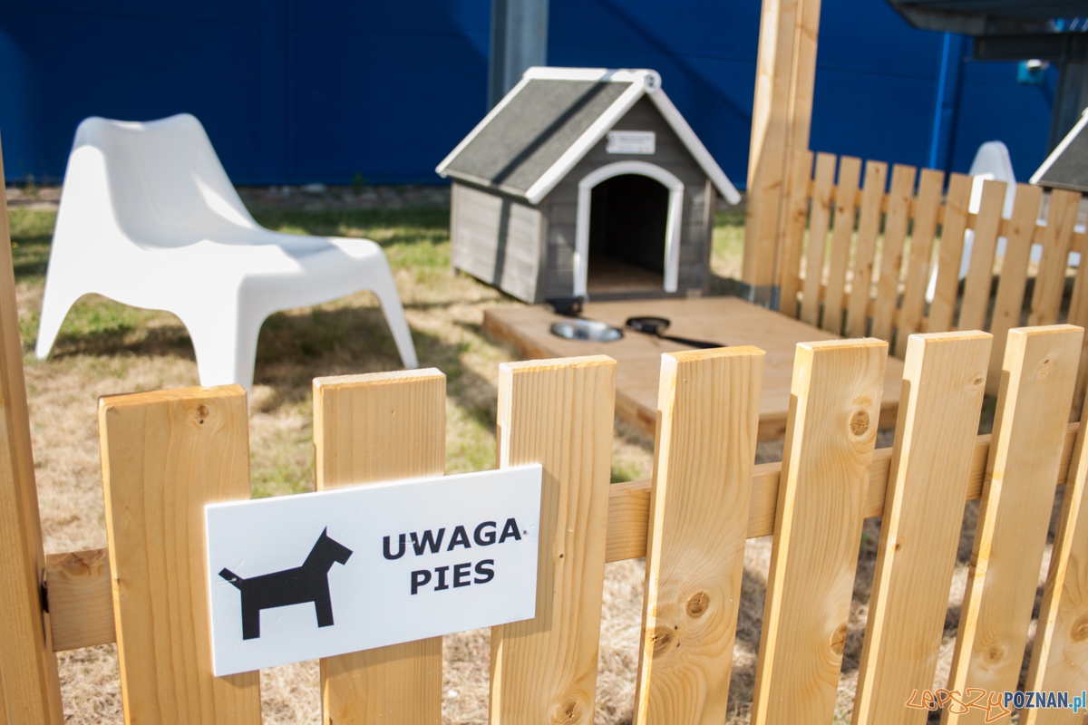 Pierwszy parking dla psów w Poznaniu (21.08.2015) Franowo Foto: © Karolina Kiraga Pierwszy parking dla psów w Poznaniu (21.08.2015) Franowo Foto: © Karolina Kiraga