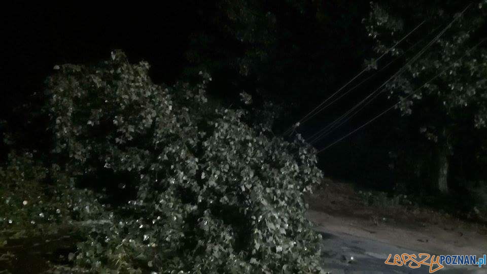 Zniszczenia w Luboniu Foto: OSP Luboń Zniszczenia w Luboniu Foto: OSP Luboń